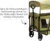 Fillikid Bollerwagen Oskar für 2 Kinder max. Produktbild-Vorschau 7