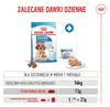 ROYAL CANIN Medium Starter Mother&Babydog 4kg Karma Sucha Podgląd zdjęcia produktu 7