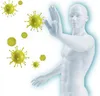 Intercell Immun Aktuelle Bakterienkulturen Immunität Produktbild-Vorschau 2