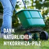 COMPO Turbo-Rasendünger für 130 m² - 5 kg Produktbild-Vorschau 9