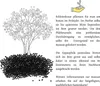 Schleierkraut Samen mehrjährig & winterhart (Gypsophilia Produktbild-Vorschau 5