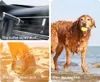 Collage of images showing a portable dust blower being used to clean car vents, sand, and dry a dog. Náhled obrázku produktu