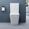 doporro WC à Poser Céramique Blanc Toilette avec Réservoir Voir les images du produit 2