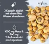 Maca 1000 Plus Tribulus von EXVital, 90 Kapseln Produktbild-Vorschau 2