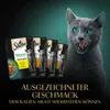A cat is licking its lips in front of several pouches of cat food. Produktbild-Vorschau