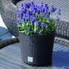 Obal na květináč RATO ROUND 2v1 plastový hnědošedý d30x27cm Náhled obrázku produktu 8