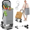 Carrello della spesa ELONEO con vano refrigerato, carrello Anteprima dell’immagine prodotto 1