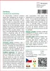 SAFLAX - Centaury - Centaurium erythraea - 250 Semena Náhled obrázku produktu 3