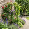 Garten Terrasse Pergola Rosenstütze Set Metall Stabil Produktbild-Vorschau 11