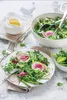 A salad is served on a plate with a dressing pitcher and a bowl of salad in the background. Anteprima dell’immagine prodotto