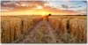 Tulup® Glas-Bild - 100x50 -Wandkunst - Wandbild hinter Produktbild-Vorschau 1