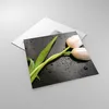 Bilder auf glas - Tulpen Blume Pflanzung Pflanze - 50x50cm Produktbild-Vorschau 2