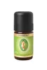 Bio Citronella, 5 ml Produktbild-Vorschau 1