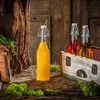 KADAX butelka szklana 500ml z zamknięciem mechanicznym 5 Podgląd zdjęcia produktu 8