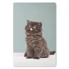 MuchoWow® Mauspad Mousepad Kätzchen - Perserkatze - Zunge - Produktbild-Vorschau 1