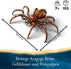 LEGO® Harry Potter™ 76434 Aragog w Zakazanym Lesie™ Podgląd zdjęcia produktu 43