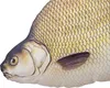 Gaby Kuscheltier Fisch Kissen Stofftier Plüschtier Produktbild-Vorschau 4
