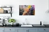 MuchoWow® Poster Getrocknete Blumen - Farben - Stilleben Produktbild-Vorschau 3