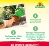 Neudorff  - Azet RosenDünger 1L für 200L Gießwasser - 100 % Produktbild-Vorschau 5