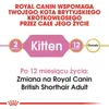 Royal Canin British Shorthair Kitten, Kitten, Britisch Produktbild-Vorschau 7