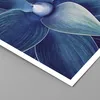 Poster - Poster ohne Rahmen - Agave Blau Blume - 70x50 cm - Produktbild-Vorschau 2