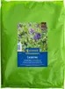 Kiepenkerl Saatgut Luzerne Medicago sativa für 250 m² 1 kg Produktbild-Vorschau 6