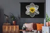 MuchoWow® Wandteppich Wandbehang Eine weiße Narzissenblüte Produktbild-Vorschau 5