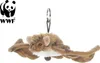 WWF Plüschtier Fledermaus (23cm) lebensecht Kuscheltier Produktbild-Vorschau 1