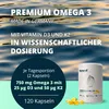 brandl® Omega 3 D3 K2 Kapseln mit Premium Fischöl Omega 3 | Produktbild-Vorschau 2
