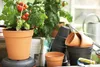 elho green basics Anzuchttopf 24cm - mild tonrot Produktbild-Vorschau 7