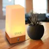 A bedside lamp and a potted plant on a wooden table. Voir les images du produit