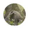 MuchoWow® Mauspad Mousepad Waschbär - Wasser - Wald 30x30 Produktbild-Vorschau 1