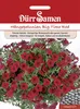 Dürr-Samen - Petunien Big Time Red einjährig 100 cm - Produktbild-Vorschau 1
