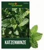 Katzenminze  Samen - Nepeta cataria - Katzenminzesamen - Produktbild-Vorschau 1
