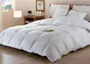 DODO Naturdaunen BAFFIN Steppdecke - 240 x 260 cm Produktbild-Vorschau 2