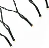 A close-up view of several LED lights on a black wire against a white background. Náhled obrázku produktu