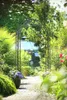 Dehner Rosenbogen Cornwall, ca. 236 x 118 x 31 cm, Metall, Produktbild-Vorschau 3