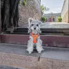 STILVORA Hundegeschirre ausbruchsicher, Hundegeschirr Produktbild-Vorschau 10