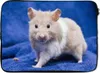 MuchoWow® Laptop Hülle 13 Zoll Syrischer Hamster Produktbild-Vorschau 1