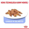 Royal Canin Indoor Sterilized, Adult, jede Rasse, Fleisch, Produktbild-Vorschau 11