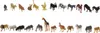 A collection of small plastic animal figurines arranged in two rows against a white background. Anteprima dell’immagine prodotto