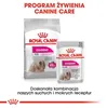 Royal Canin CCN MINI EXIGENT - sucha karma dla dorosłych Podgląd zdjęcia produktu 9
