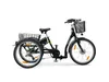 SachsenRad T3A Trio II Lastenrad mit Alarmanlage, Elektro Produktbild-Vorschau 1