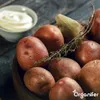 Saatkartoffeln Desiree A 28/35 (10 kg) - Organifer Produktbild-Vorschau 6