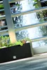 Prosperplast Blumenkasten RATO CASE Weiß 60 cm Produktbild-Vorschau 11