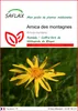 SAFLAX  - Arnica des montagnes - 40 graines - Arnica Voir les images du produit 1