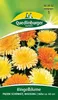 Ringelblume, Pazifik Schönheit Mischung Produktbild-Vorschau 1