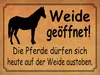 vianmo Holzschild 30x40 cm Weide geöffnet Pferde dürfen Produktbild-Vorschau 1