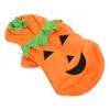 Kürbis-Hundekleidung,Halloween-Kürbis-Hundekleidung,Hunde-Wi Produktbild-Vorschau 4