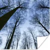 MuchoWow® Poster Wald - Bäume - Himmel 100x100 cm - Produktbild-Vorschau 1